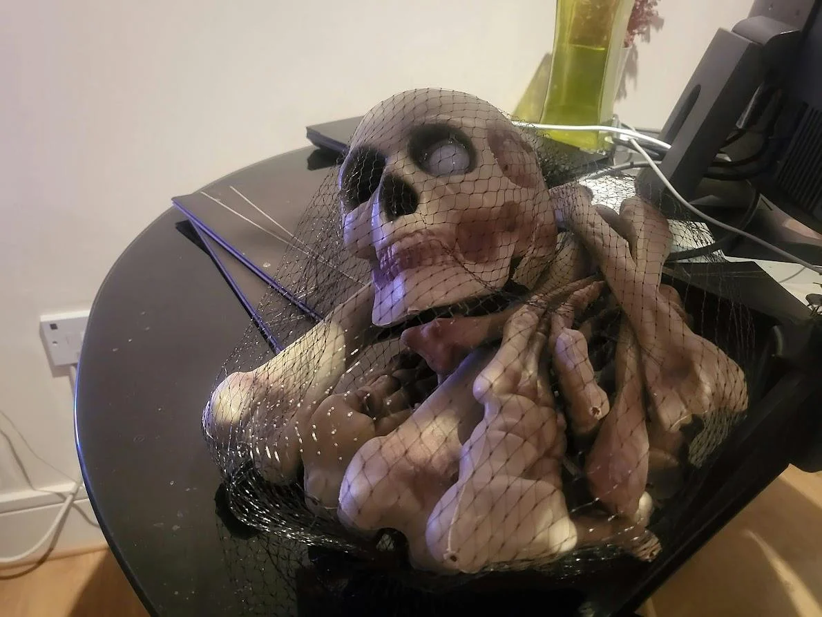 Bag O' Bones: a PIR jump-scare Halloween skull on a Pimoroni Inventor 2040 W photo 3